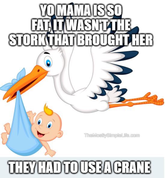 joke about mom so fat they had to use a crane not a stork