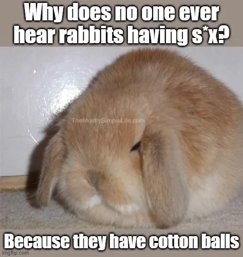 Why does no one ever hear rabbits having s*x?
Because they have cotton balls.