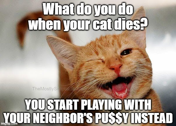 What do you do when your cat dies?
You start playing with your neighbor's pu$$y.