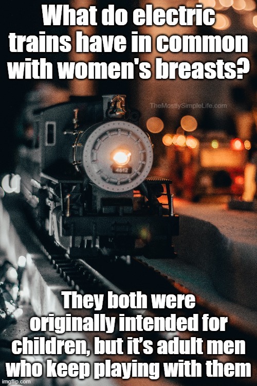 What do electric trains have in common with women's breasts?
They both were originally intended for children, but it's adult men who keep playing with them.