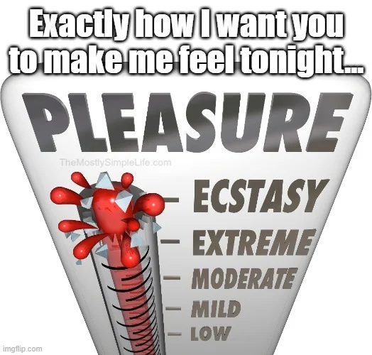 Pleasure levels: ECSTASY.
