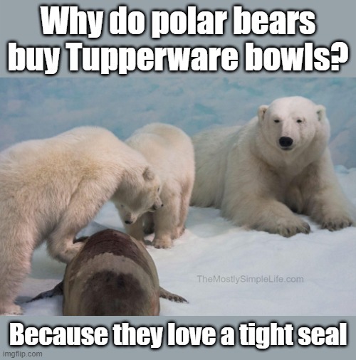 Why do polar bears buy Tupperware bowls?
Because they love a tight seal.