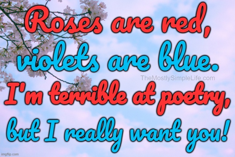 Roses are red, violets are blue.
I'm terrible at poetry, but I really want you!