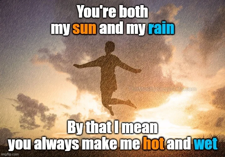 I love you for the same reasons I love the sun and the rain.
By that I mean I love you because you make me hot and wet.