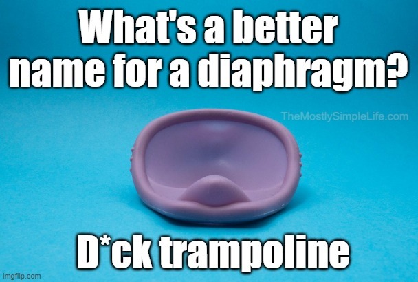 What's a better name for a diaphragm?
D*ck trampoline.