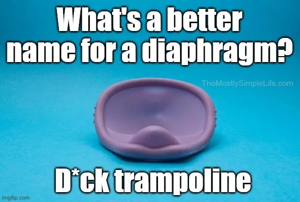 What's a better name for a diaphragm?
D*ck trampoline.