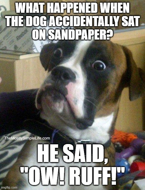 Image of surprised dog
Text says: What happened when the dog accidentally sat on sandpaper? He said Ow Ruff!