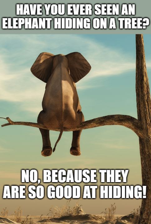 elephant hiding on a tree joke