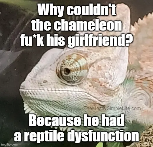 Why couldn't the chameleon fu*k his girlfriend?
Because he had a reptile dysfunction.