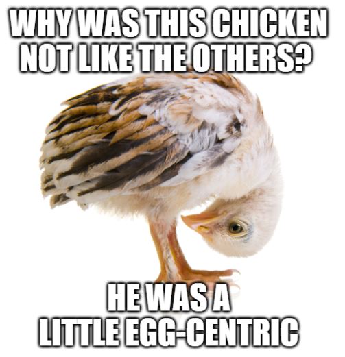 egg-centric chicken joke