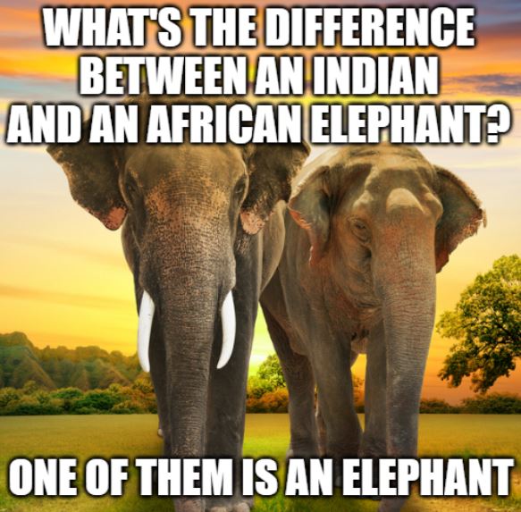 difference between an indian and an african elephant