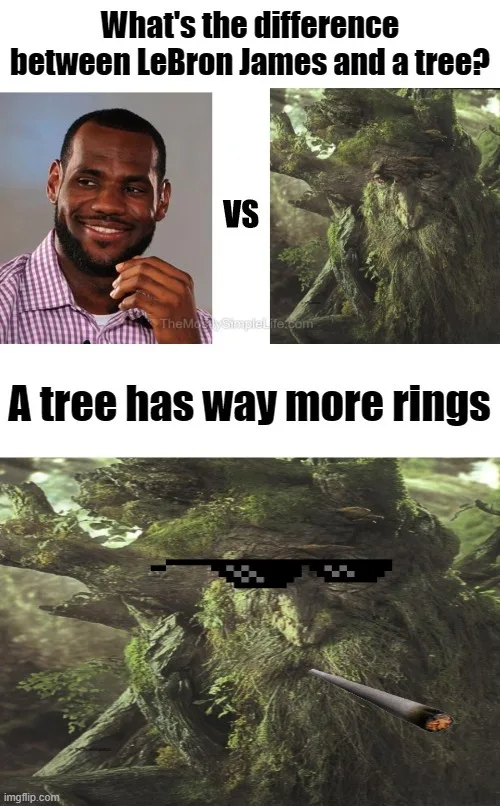 What's the difference between LeBron James and a tree?
A tree has way more rings.