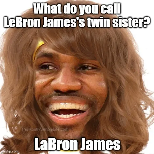 What do you call LeBron James's twin sister?
LaBron James.