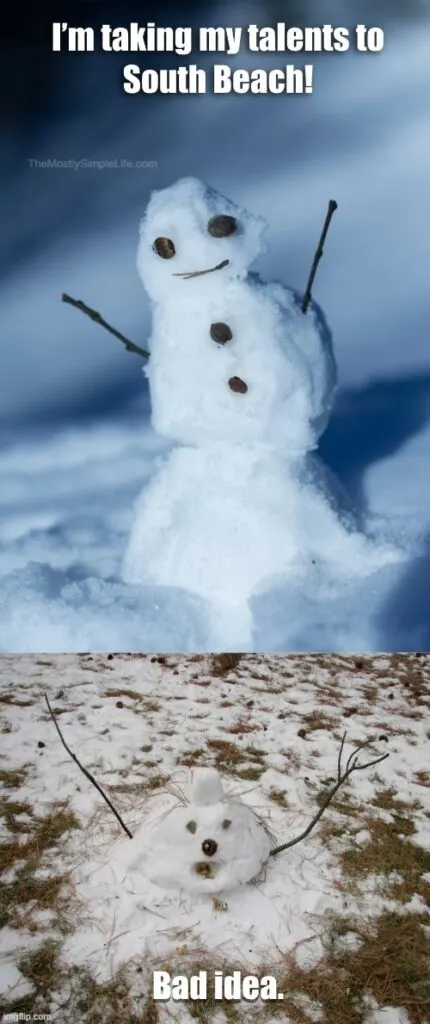 Snowman: 