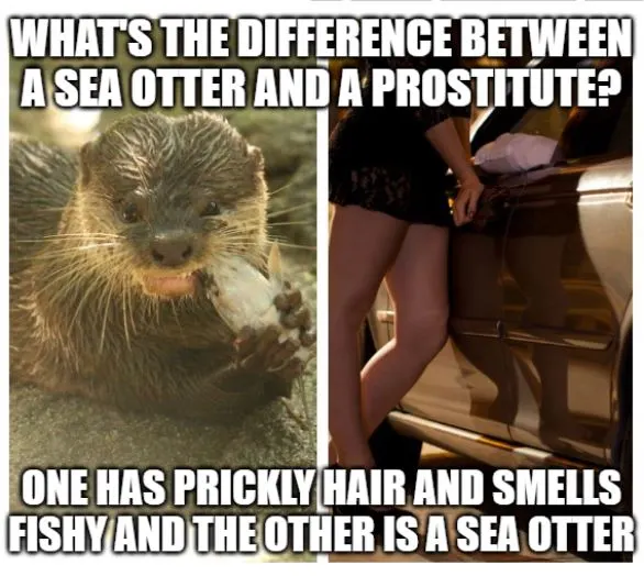 dirty dad joke about sea otters