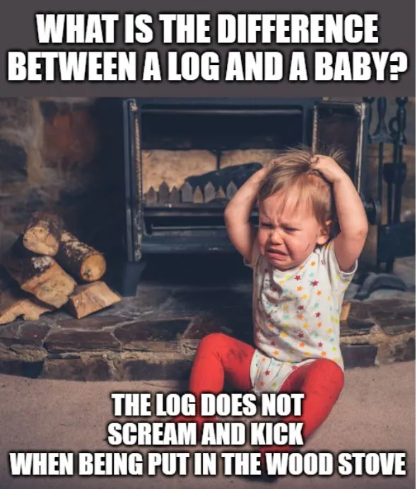 difference between a log and a baby joke