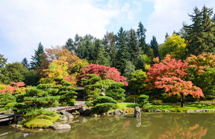 Seattle Japanese Garden