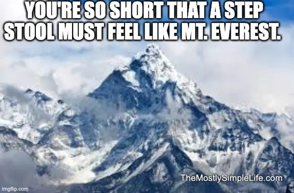 Mount Everest meme.