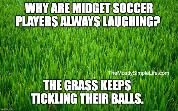 Grass meme.