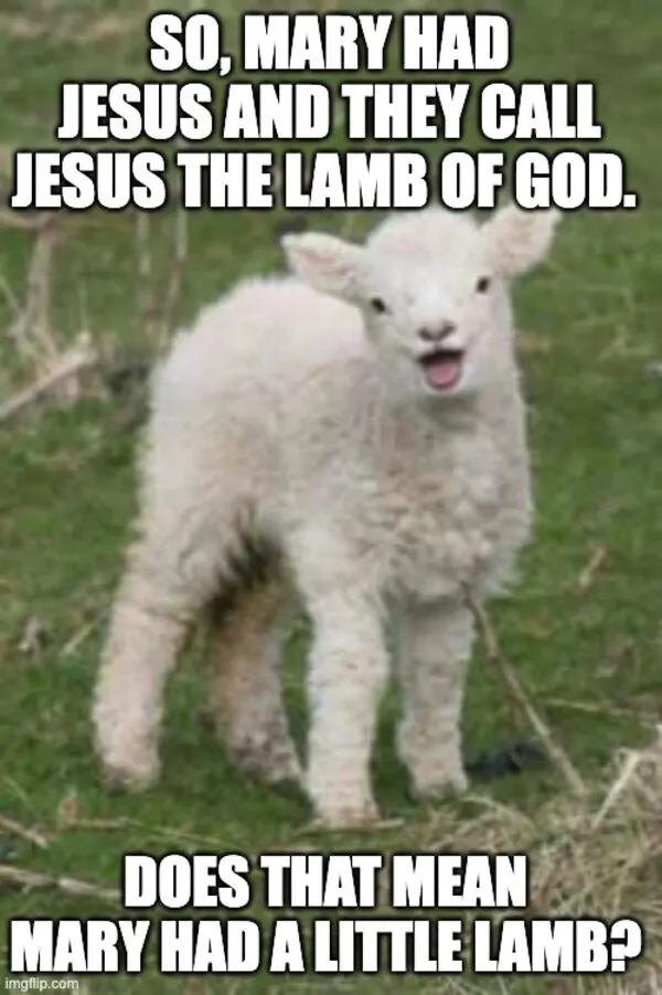 Mary had a little lamb.
