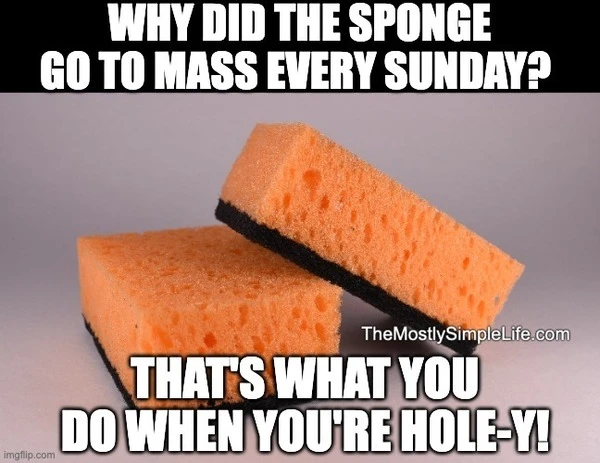 Sponge photo. That's what you do when you're hole-y!