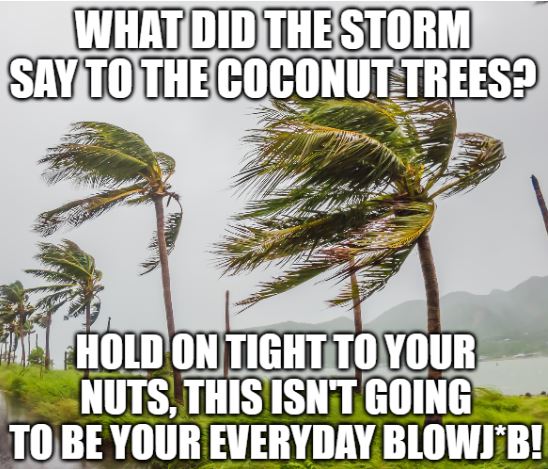 dirty joke about a storm warning coconut trees