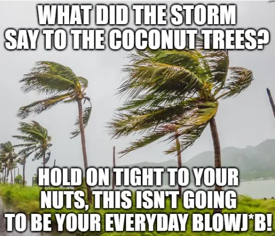 dirty joke about a storm warning coconut trees