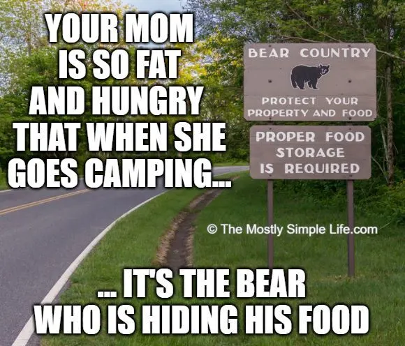 funny fat joke about camping and bears