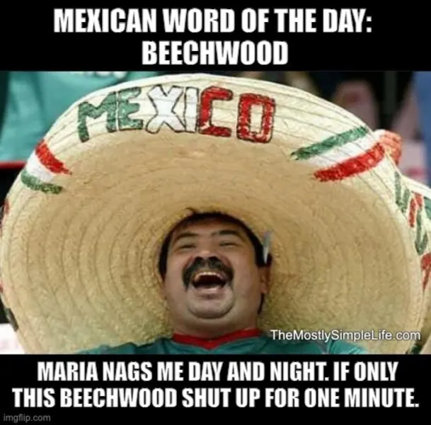 Man in sombrero Maria nags me...Word: beechwood