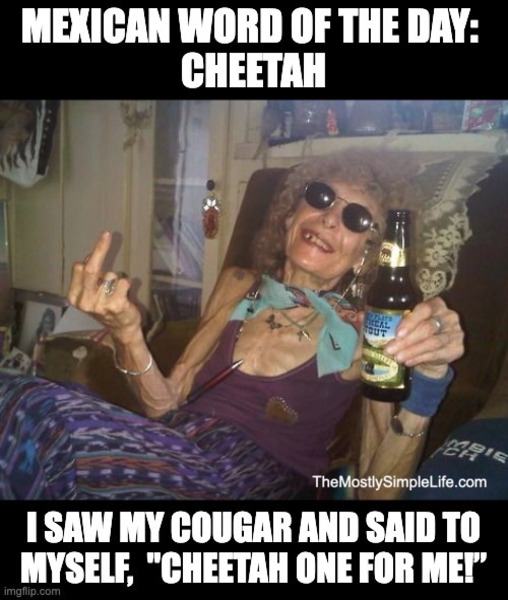 Drunk lady giving finger. Word: cheetah