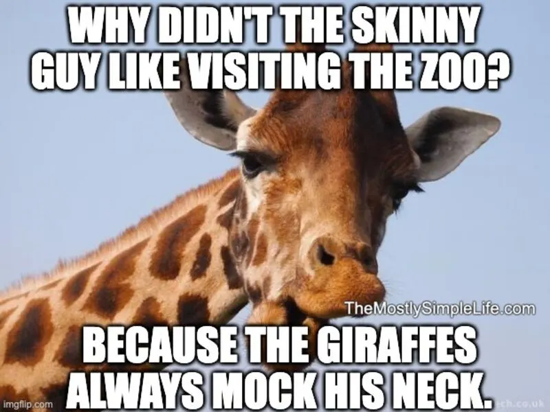 Giraffe image.