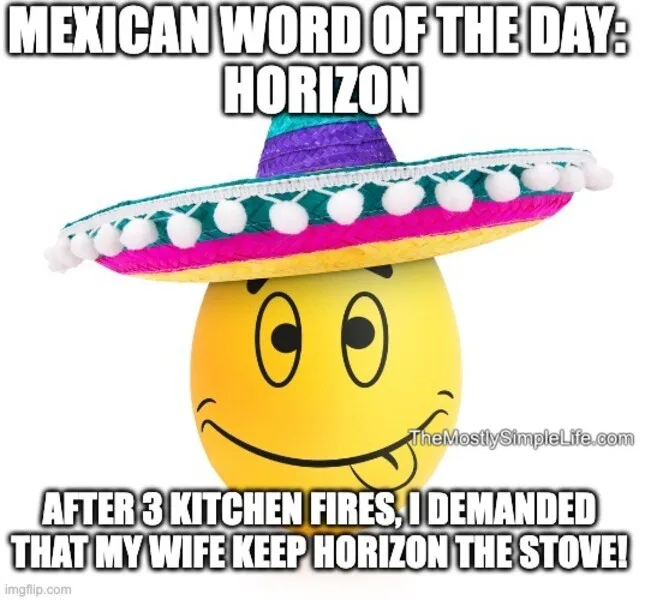 Face emoji with sombrero. Word: horizon