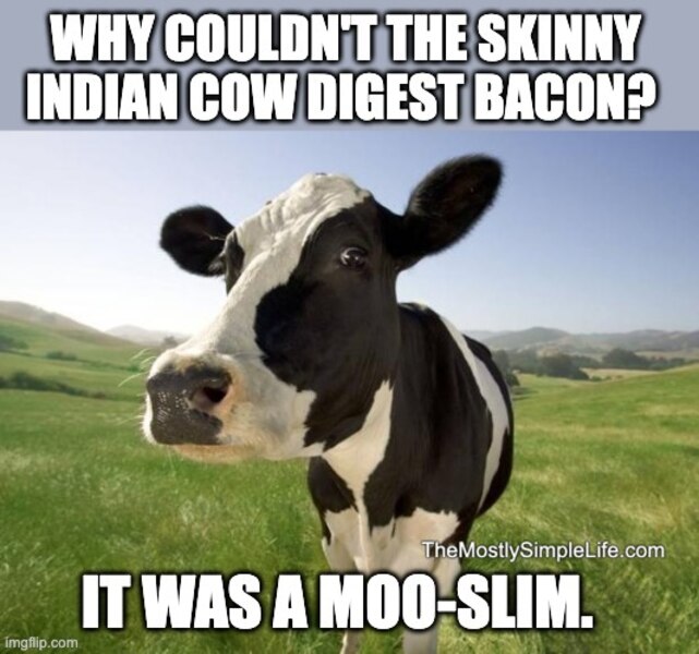 Cow image.