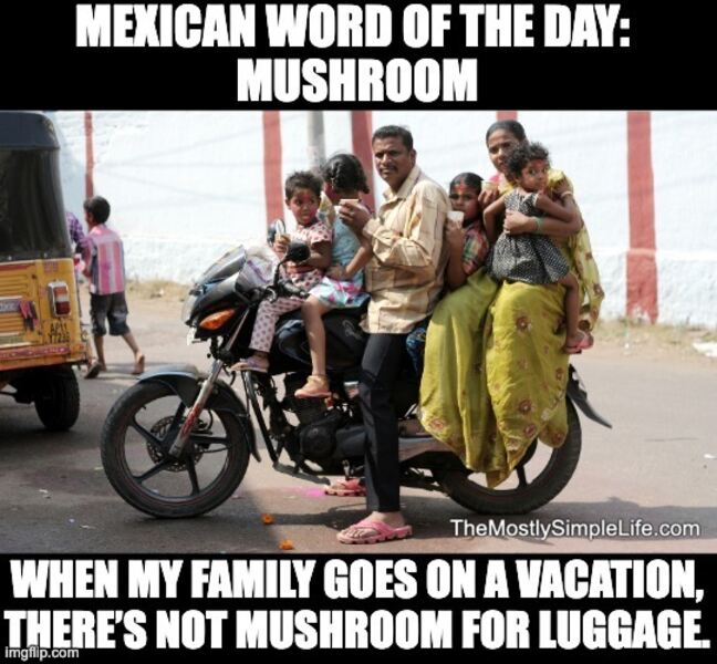 Family members on same motorcycle. Word: mushrooom