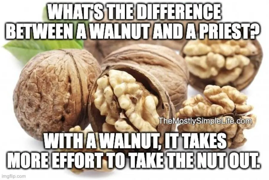 Photo of walnuts.