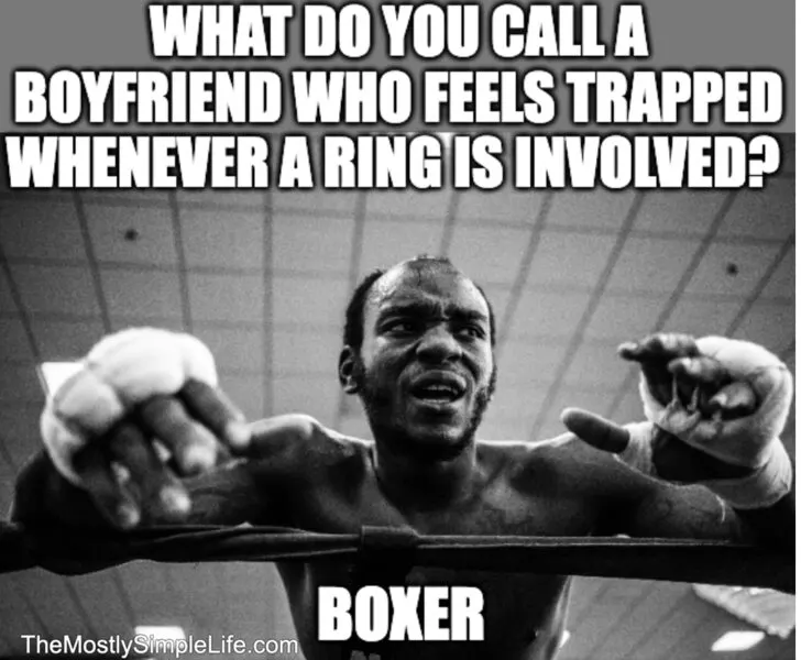 Boxer in ring image.
