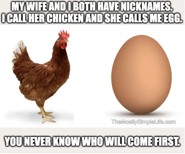 Chicken and egg image.