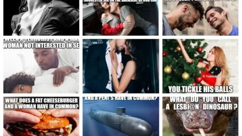 collage of 9 funny and dirty memes