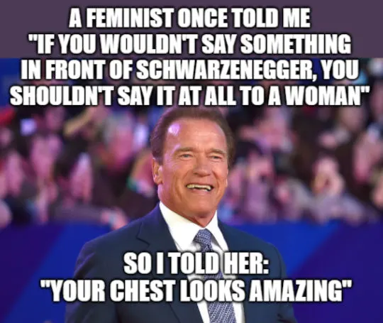 meme about a feminist rule about Arnold
