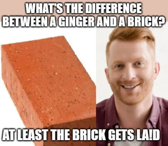 funny meme about the difference between a brick and a redheaded man